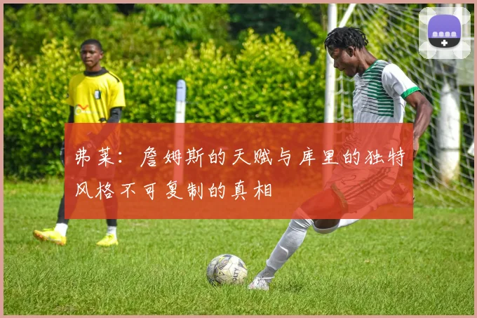 弗莱：詹姆斯的天赋与库里的独特风格不可复制的真相