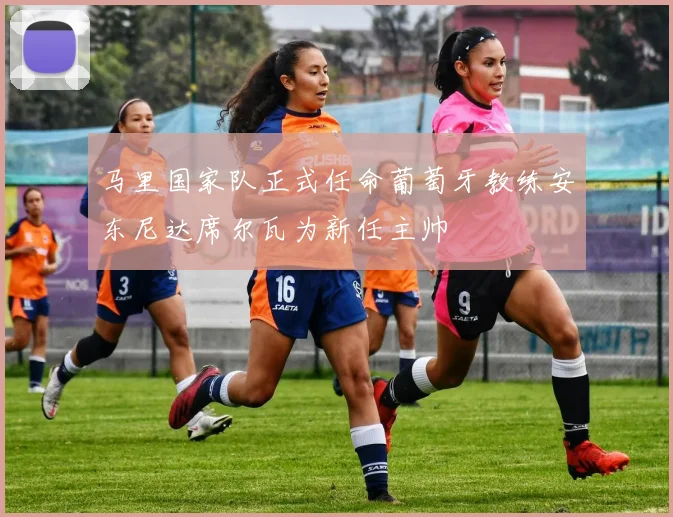 马里国家队正式任命葡萄牙教练安东尼达席尔瓦为新任主帅